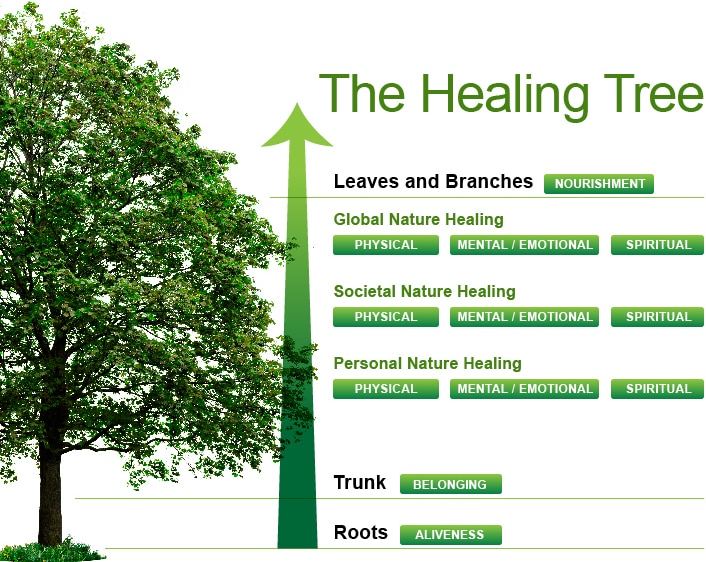 Eco-HealingTree